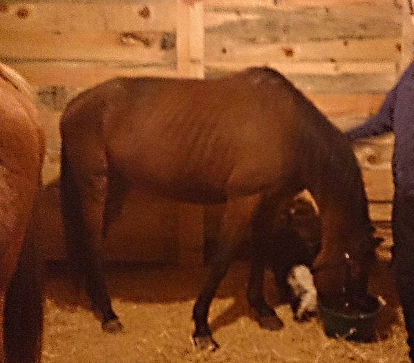 Le Valinco