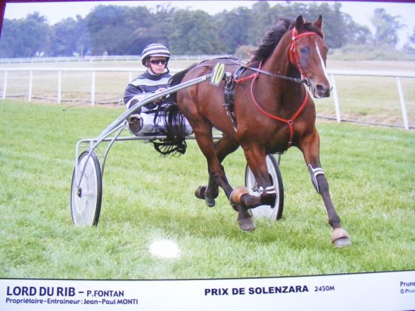 Lord du Rib