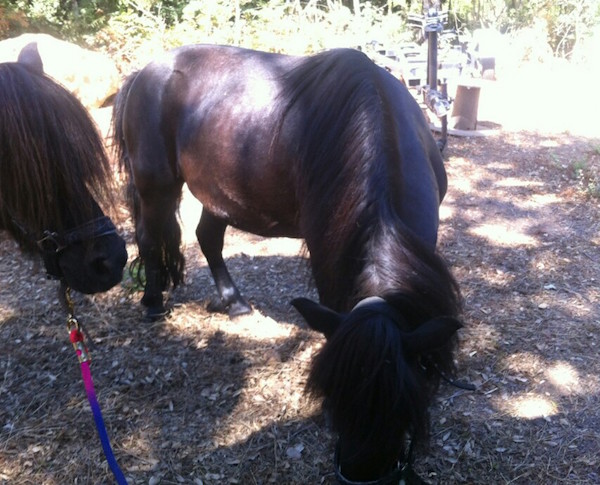 Odette et Pipi May