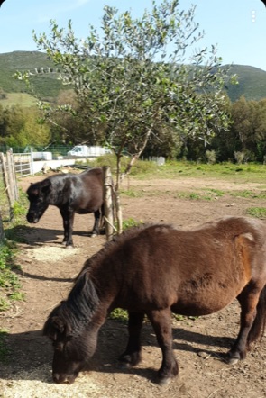 Odette et Pipi May