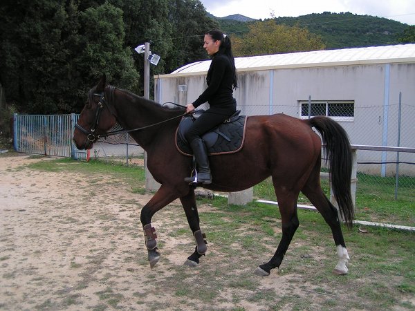 Qing de Mone