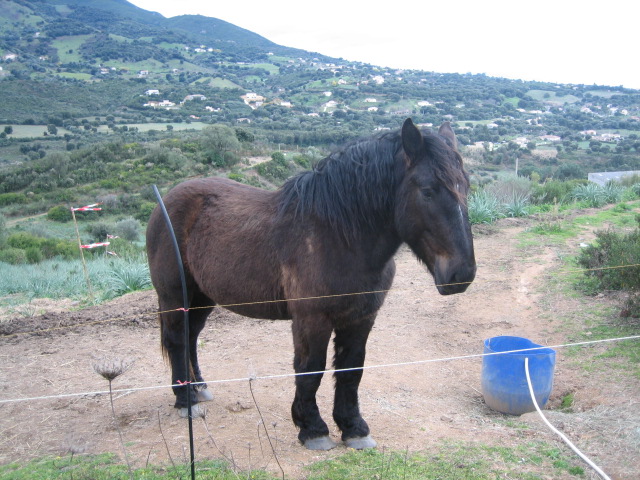 Ulhan du Pot Pierre